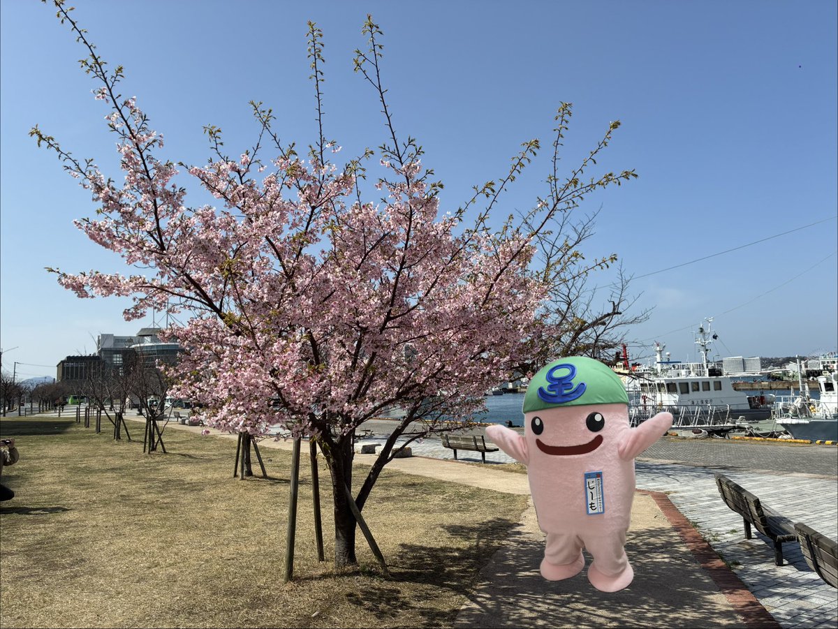 じーも tweet media