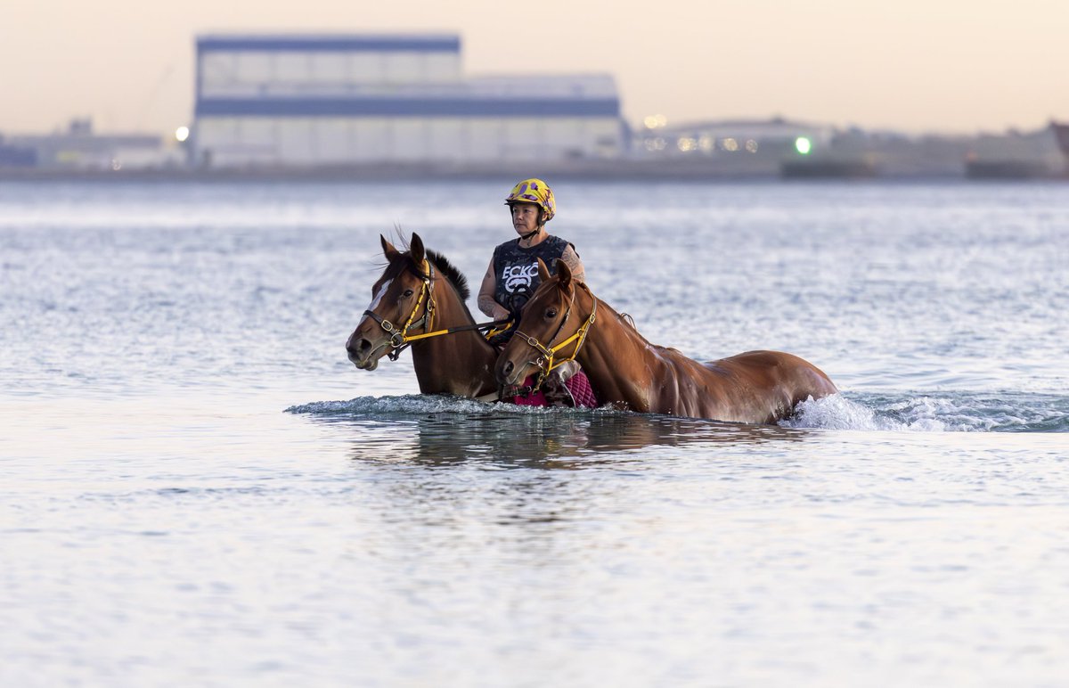 Eeyore Lodge Racing tweet media