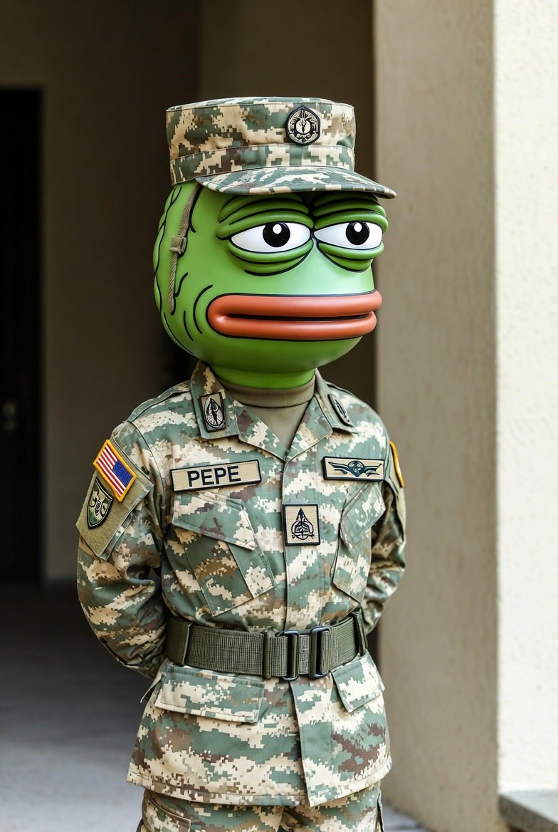 PEPE SOLDIER tweet media
