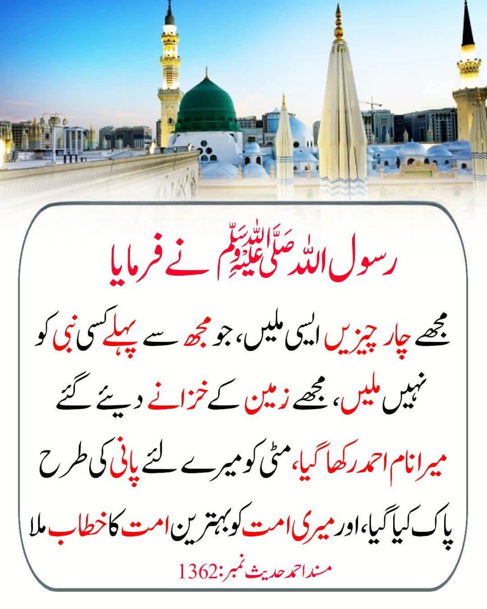 آمنہ👑 tweet media