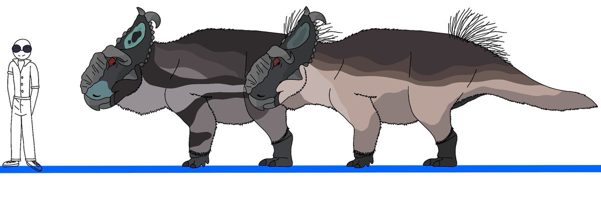 SolanTHM69420's tweet image. Just a Pachyrhinosaurus Redraw 
For Sector 001
#GMO