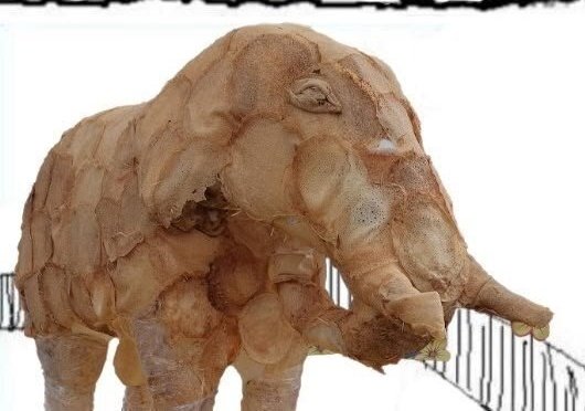 бимбо коза🇳🇴 tweet media