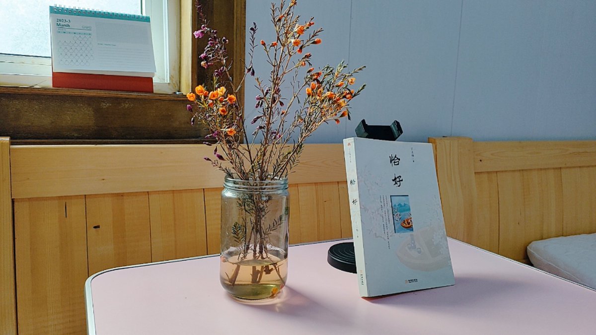 insnnmlac tweet media