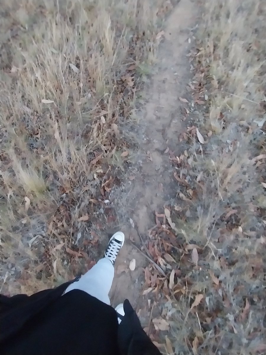 HazelBuni :3 tweet media