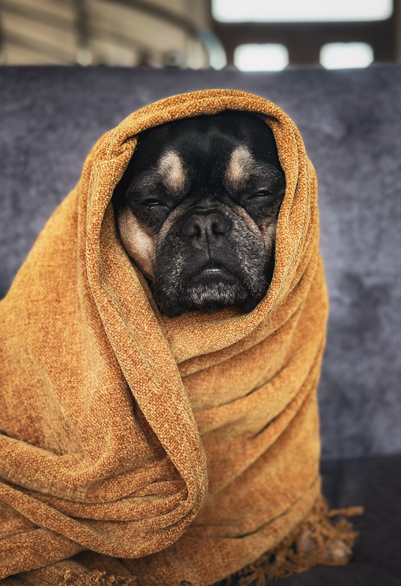 Pinot & Merlot tweet media