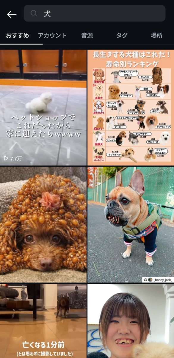 mjtagwj's tweet photo. #未成年のSNS規制　とくに　#Instagram　アルゴリズムか、マイク機能から何かを拾い突然おすすめに大量にグロい画像を投下してきます。すぐには消えません。真夜中にやられると寝れなくなります。#高市総裁　子供を守るために規制してほしい。#デジタル庁 https://t.co/c6FDC7Tg4t
