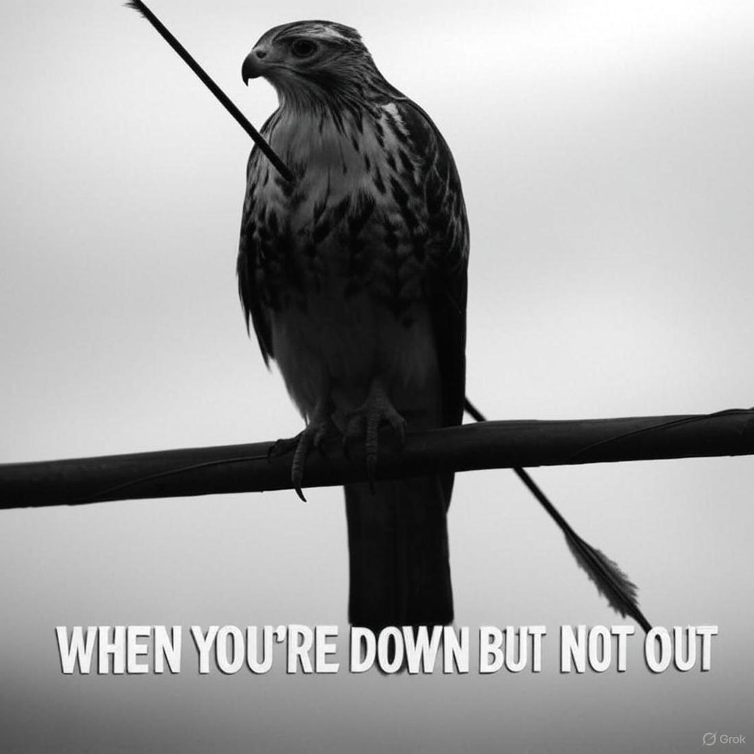 Unbroken tweet media