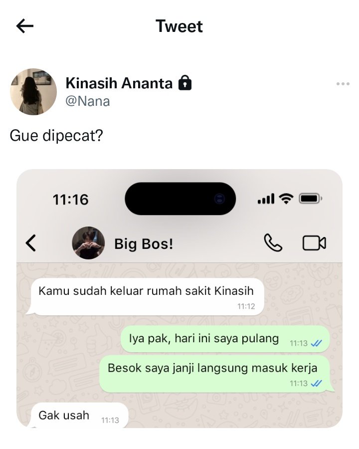 kpln_hl tweet media