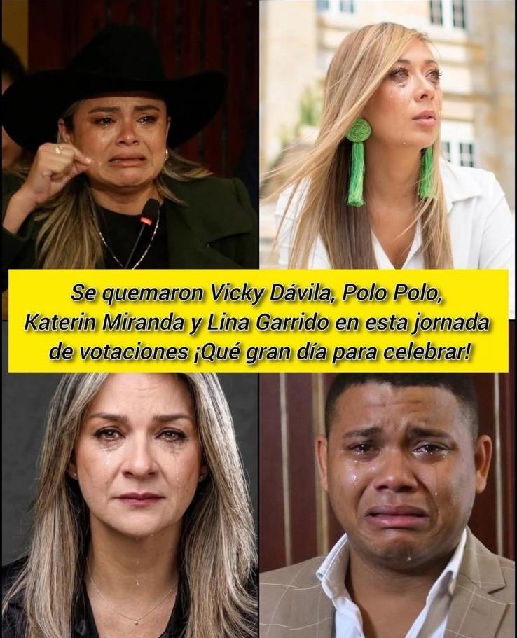 alma martela sudas tweet media
