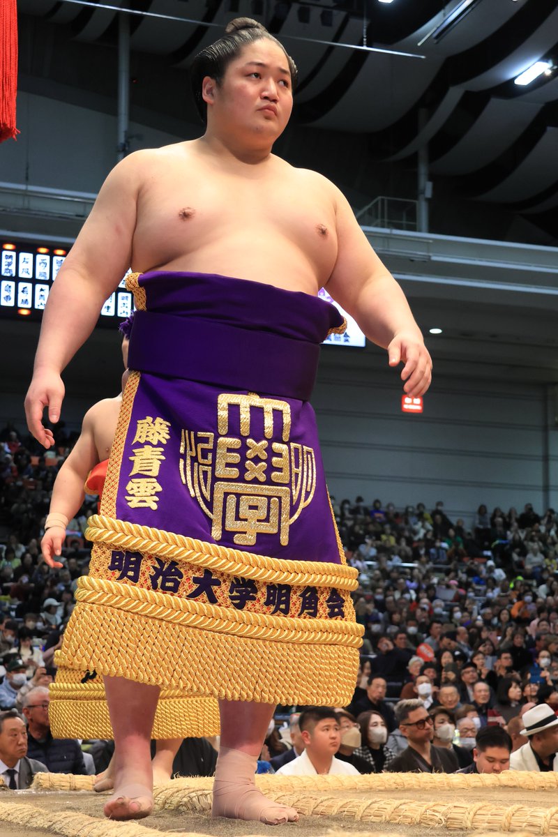 二日目の様子＞ 幕内土俵入 #sumo #相撲 #三月場所