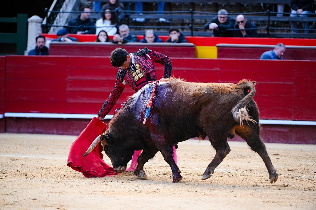 ElVolapie__'s tweet photo. Tiene México un torero…

Paciencia con Emiliano Osornio. Merece la pena esperarlo. Hay en él un concepto del toreo que, si madura como apunta, puede llegar a ser verdaderamente importante. https://t.co/puH32Cjwc2
