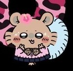 솔솔(ソルソル) tweet media