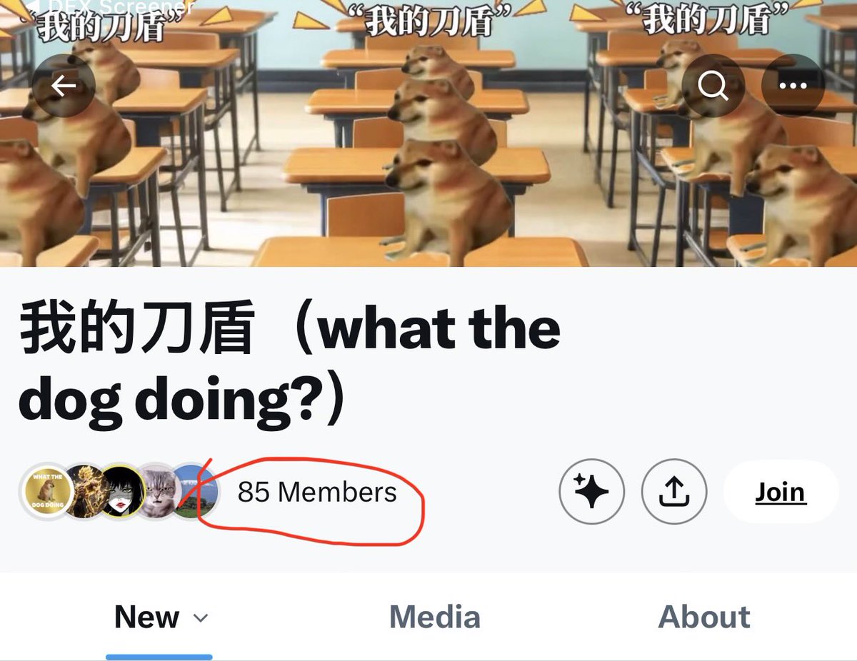 TrenchGod tweet media