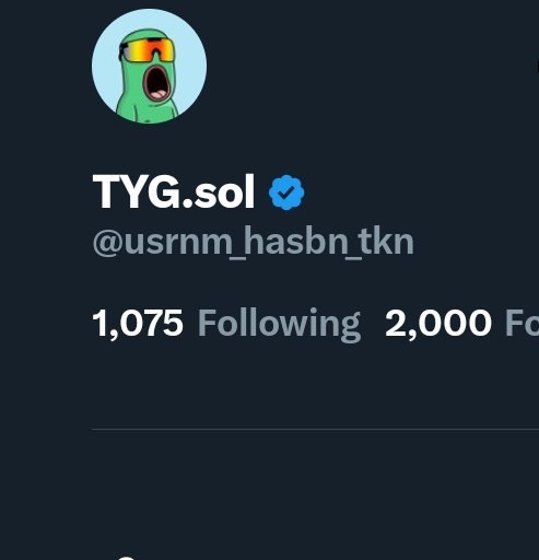 TYG.sol tweet media