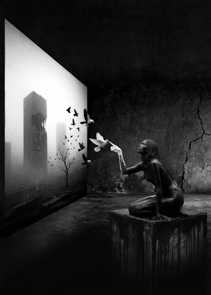 6529 Collections tweet media