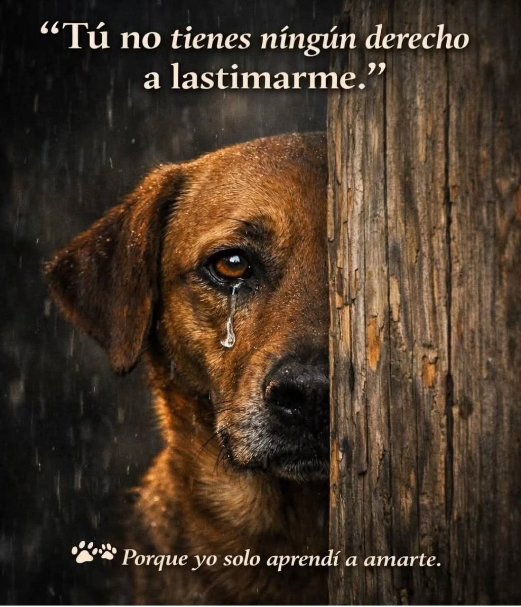 Maria Moreno (@la_mariucha) on Twitter photo 