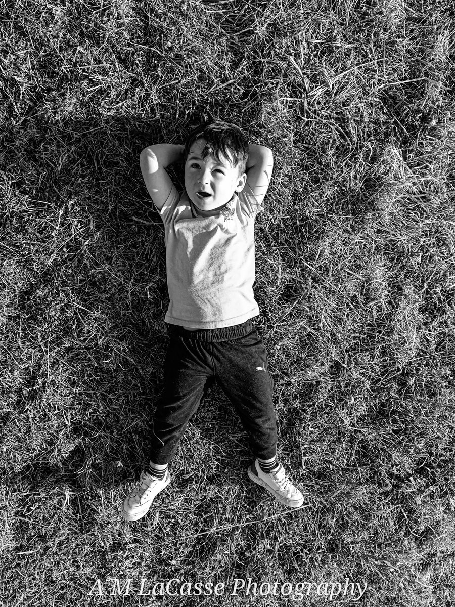 Alan LaCasse tweet media