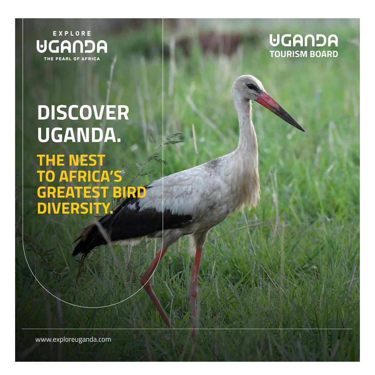 Amb. Rosa Malango “Naluwooza” tweet media