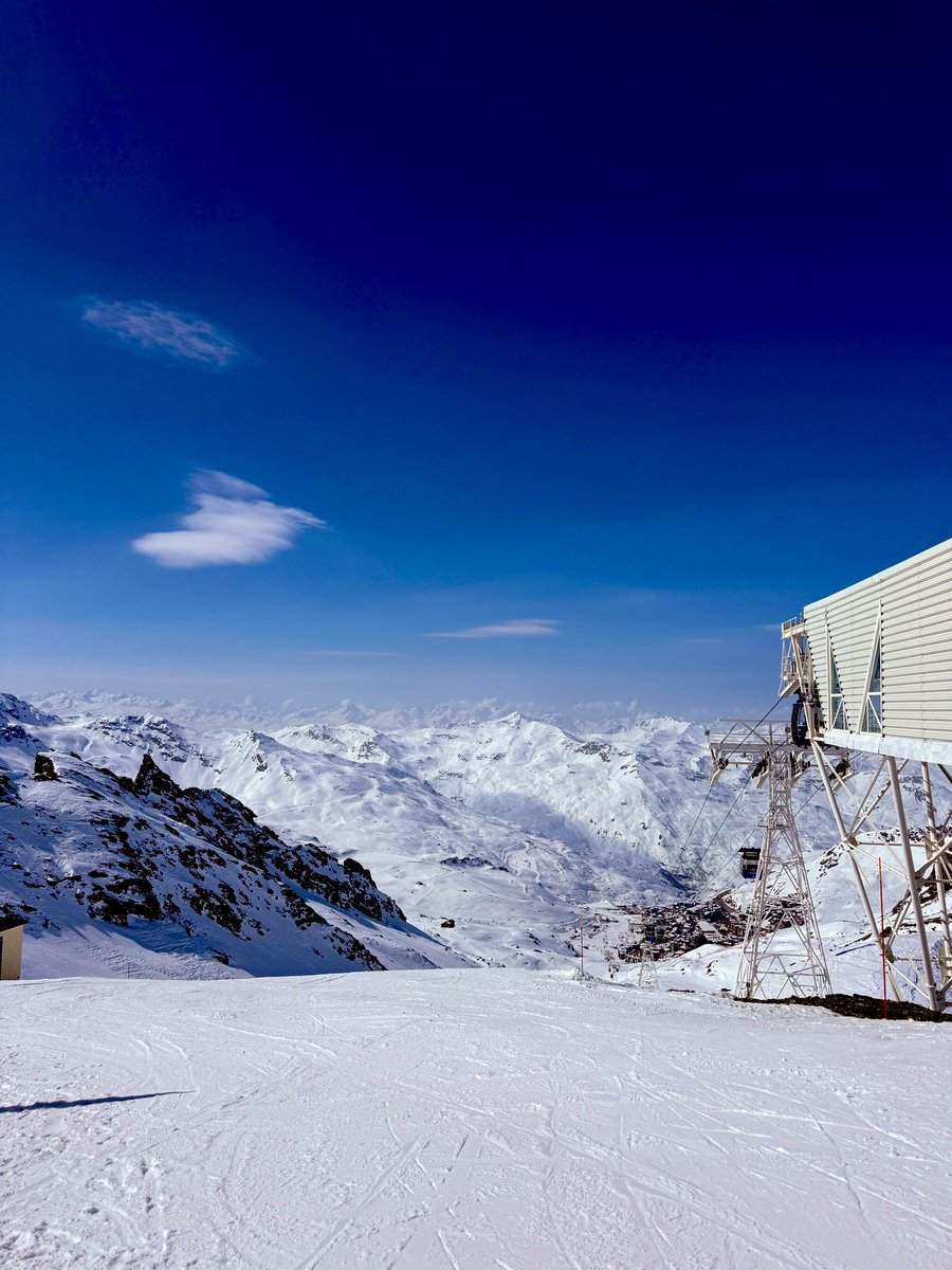 mRr3b00t tweet media