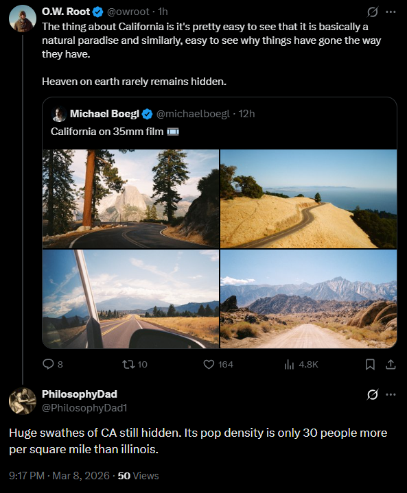 fried eggs tweet media