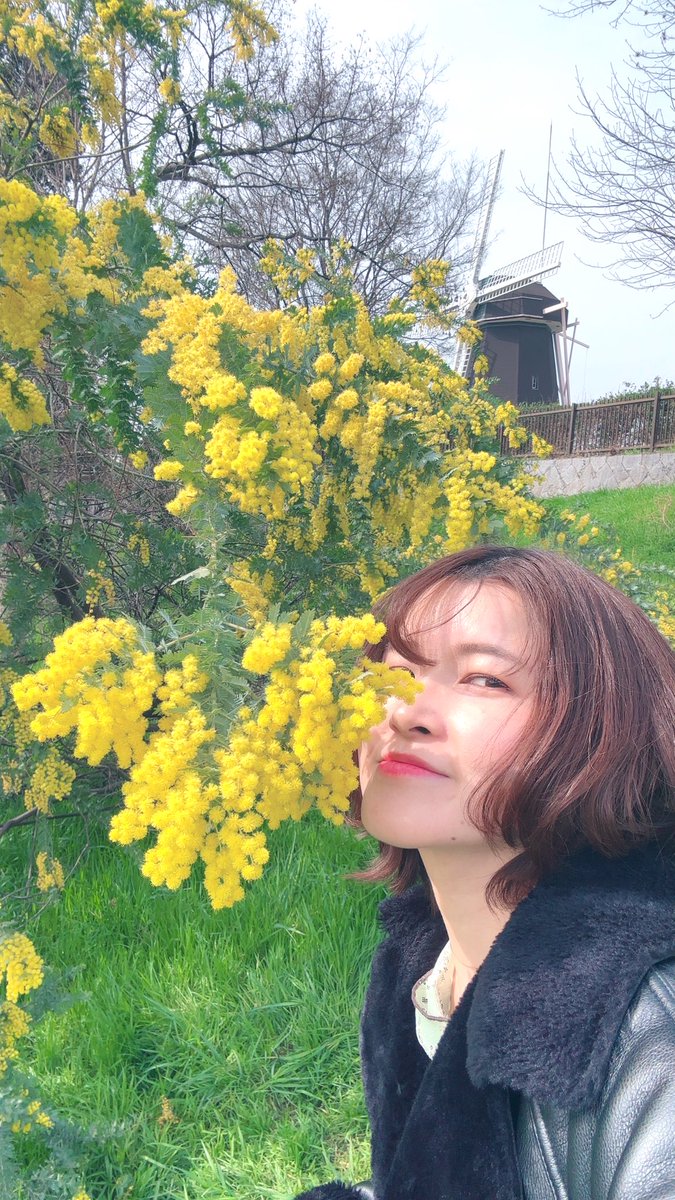 Masami Aihara 《がみー》相原雅美 tweet media