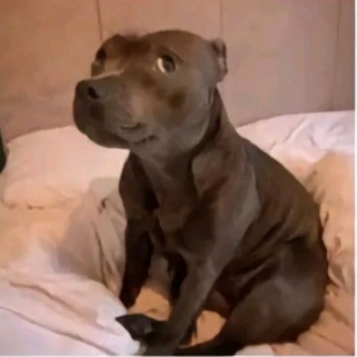 Oigan mutis ¿a qn puedo etiquetar para las dinámicas? Es q capaz l@s etiqueto y no les gusta o así