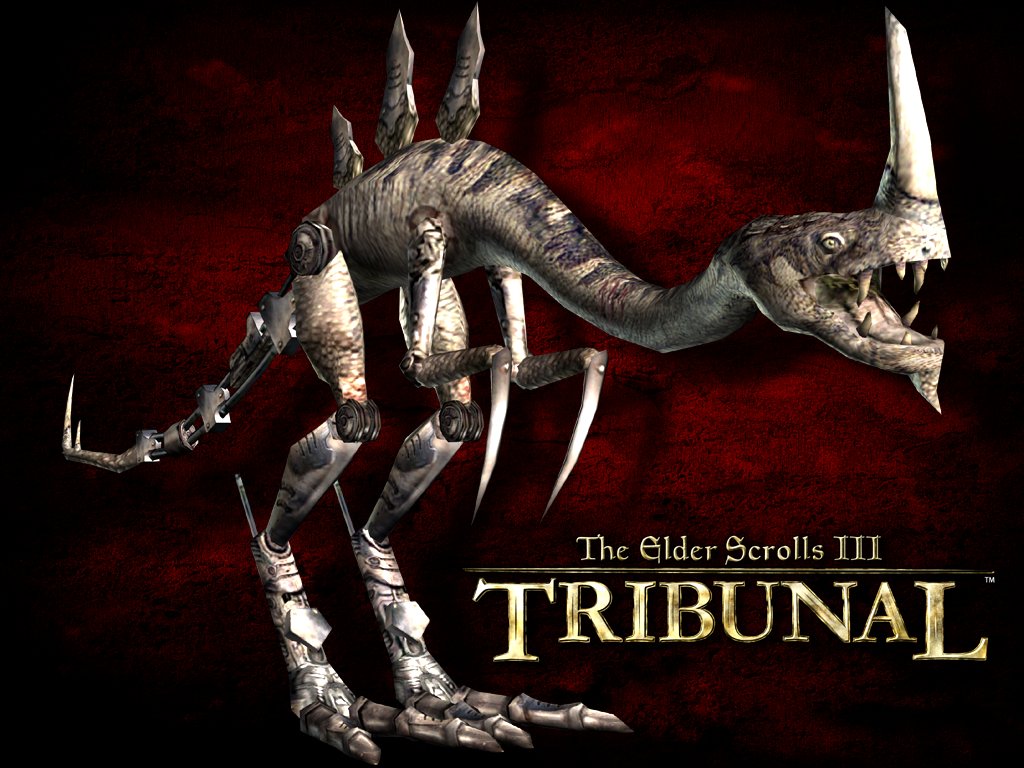 UESP_net's tweet photo. Did you Know: We maintain a large selection of official Elder Scrolls wallpapers? https://t.co/U1Y5uJpJUF