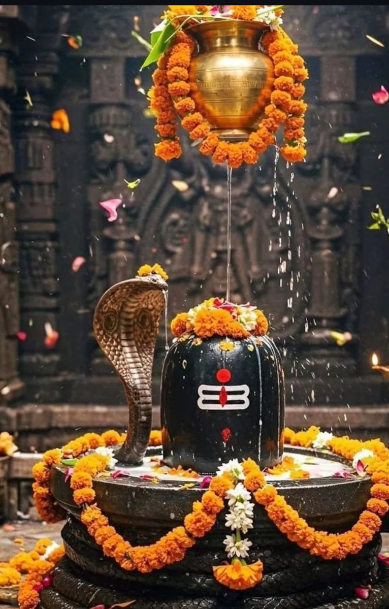 ⭐🌿Sweet Diva 🌟🍀 tweet media