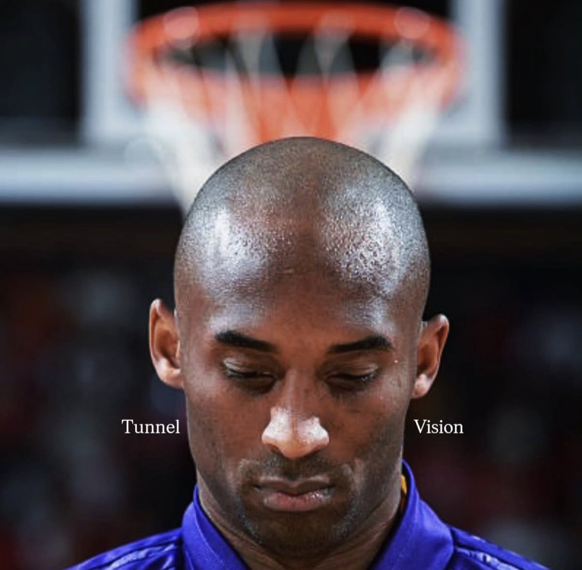 8/24MαɱႦα.Aɾƈԋιʋҽʂ🐐 tweet media