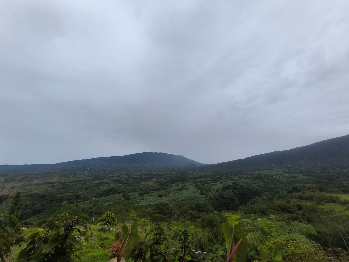 The Daddy Experience tweet media