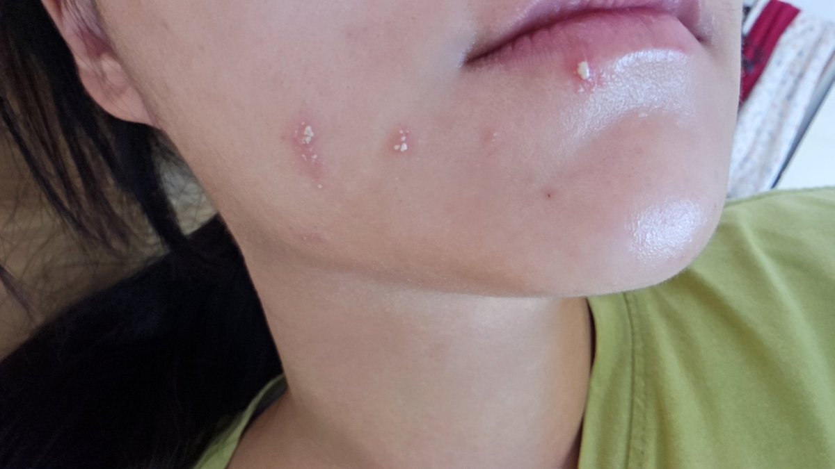 禾木沐牧 tweet media