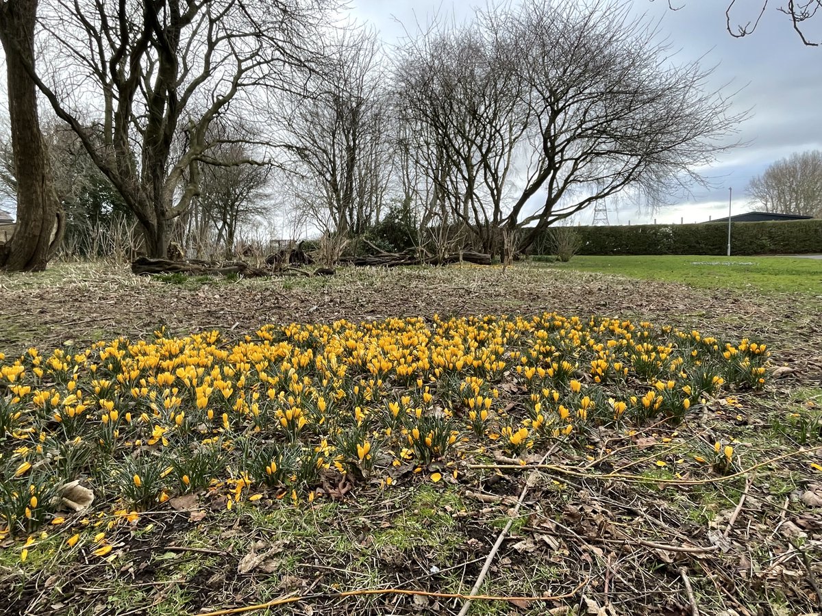 Tony Warne tweet media