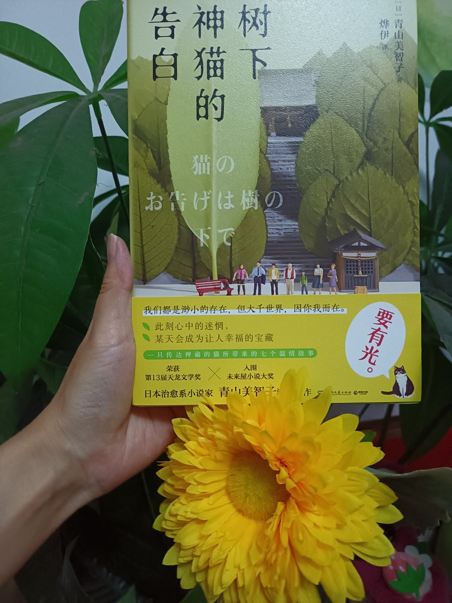 alefort8@gmail.com tweet media