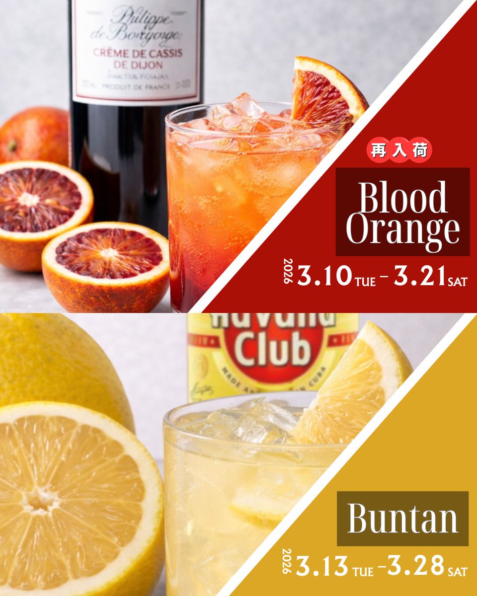 猫又屋 tweet media