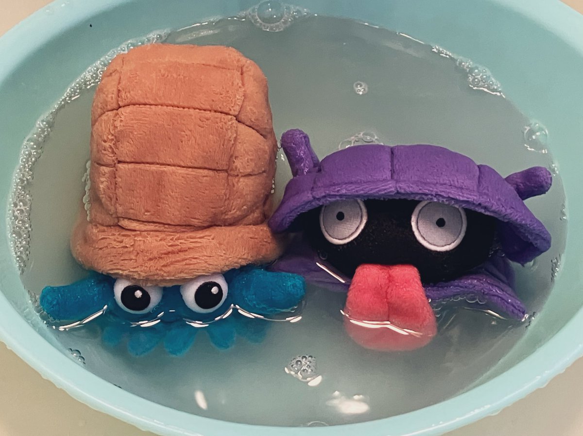 シェルダーとオムナイト tweet media