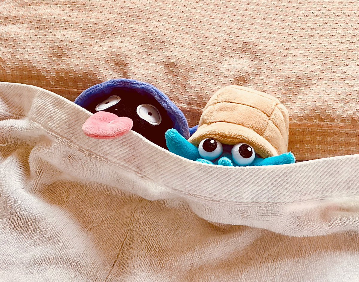 シェルダーとオムナイト tweet media