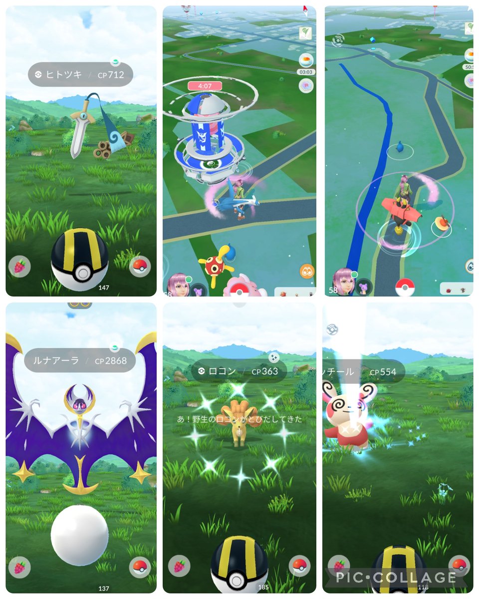 pokepokepanic's tweet photo. ほとんど逃げられたけど、
いろんなポケモンに会えて
楽しかった☺️💓 https://t.co/uIMlv9TFwh