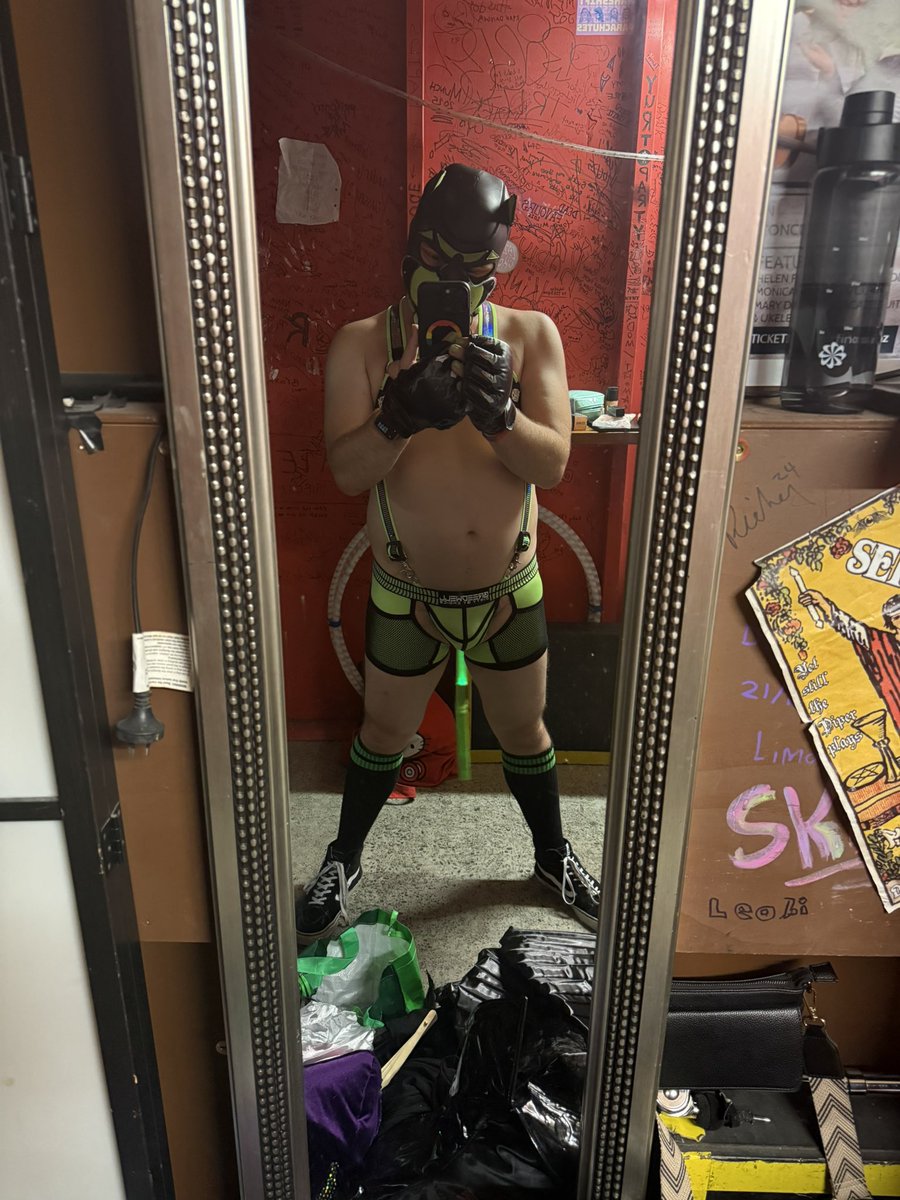 Máximo The LED Pup tweet media