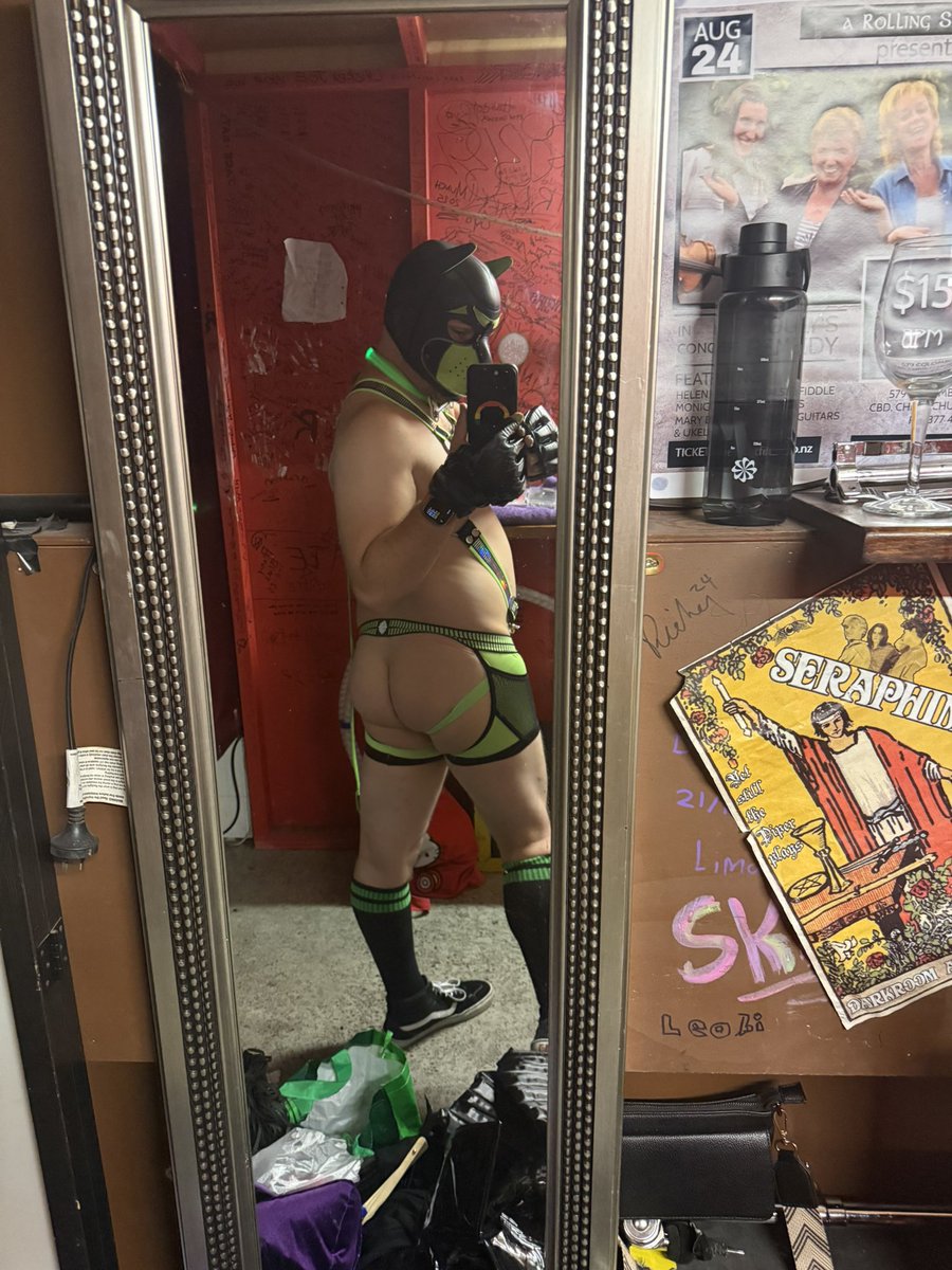 Máximo The LED Pup tweet media