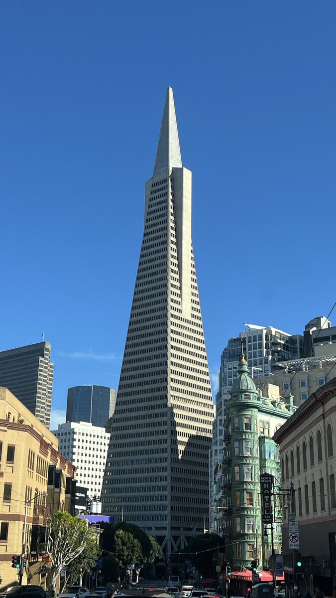 nice fry roll tweet media