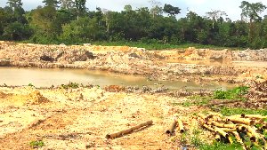 Galamsey is not only poisoning rivers.
It is destroying Ghana’s forests.
Nearly 9,000 hectares of forest reserves have already been degraded due to illegal mining. 
Short-term gold profits are costing Ghana its ecological future.
This cannot continue.
#StopGalamsey