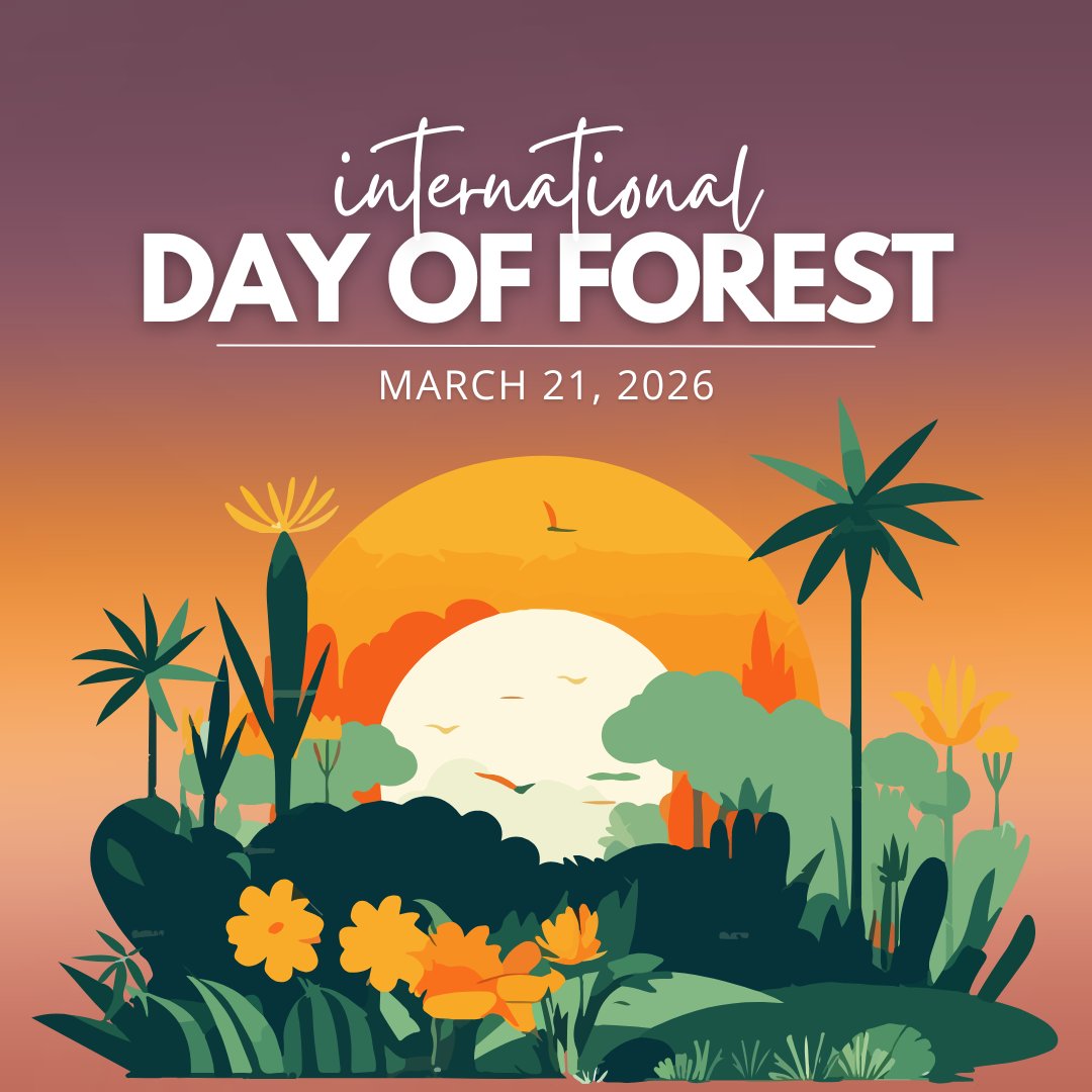 SPPHERElab's tweet photo. Today, let’s recognize the vital role forests play in maintaining a healthy and balanced ecosystem. Forests are the lungs of our planet. They provide clean air, support biodiversity, protect wildlife, regulate our climate, and sustain millions of communities around the world. https://t.co/Hv0wQ3FoSm