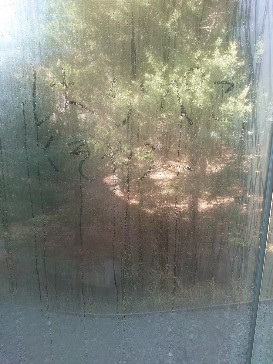 くぅちん(🐉オレは転売の子🐉mabo) tweet media