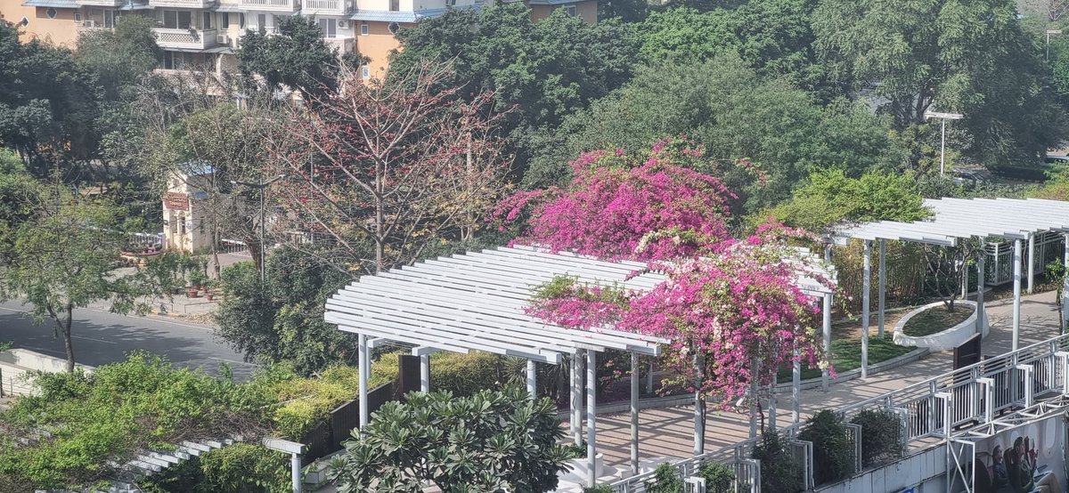 Prashaant Kaul tweet media