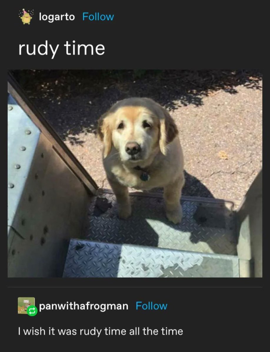 Images AI Could Never Recreate tweet media