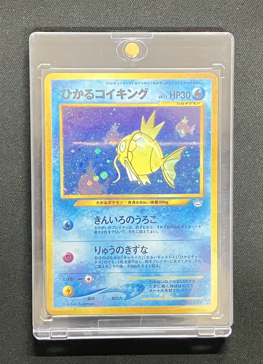 【入荷情報】

ひかるコイキング

状態確認をご希望のお客様は カウンターのスタッフまでお声掛けください！！

✨秋葉原で古いカード買うならエルドラード✨