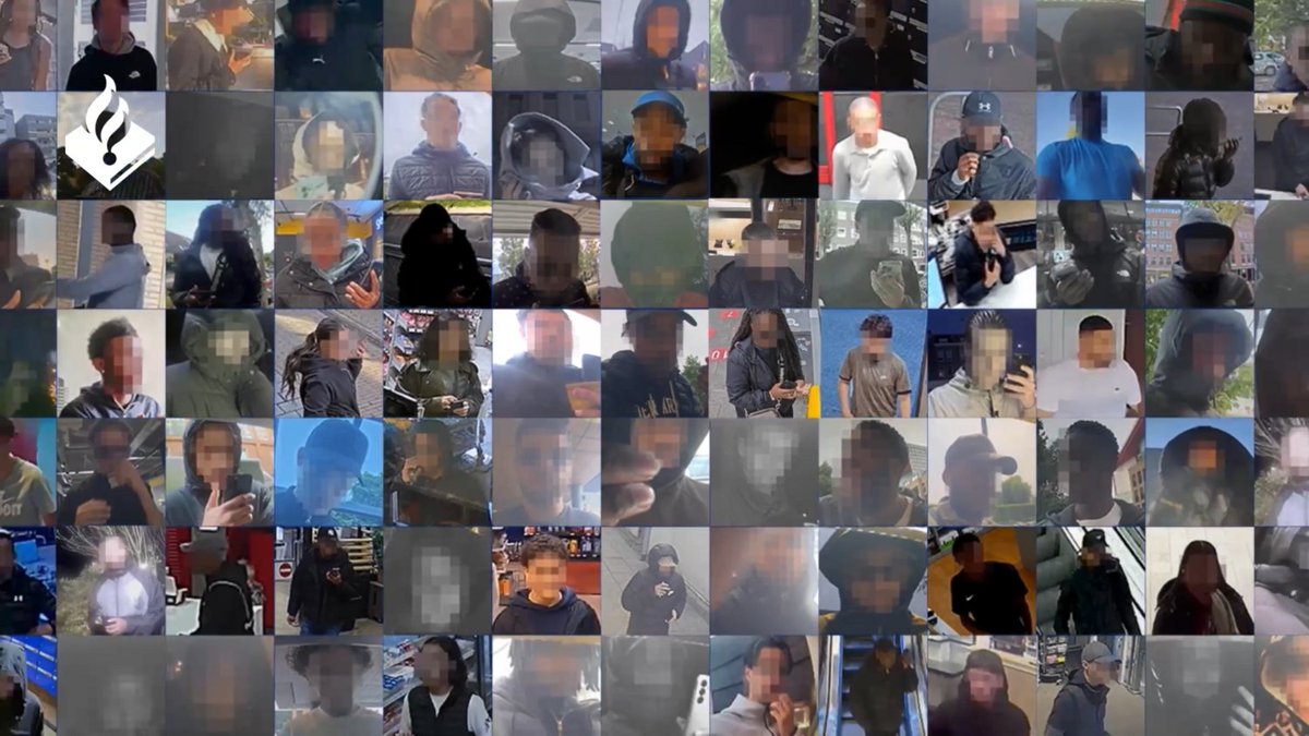 De Telegraaf tweet media