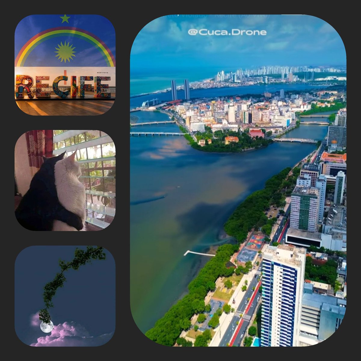 libratamara's tweet photo. 🇧🇷  🙂🙂🙂 Amiga ( o ) do bem desejo uma maravilhosa semana e sinta-se abraçada ( o ). 🫂😉😉😉 https://t.co/l4KpiDHFmL