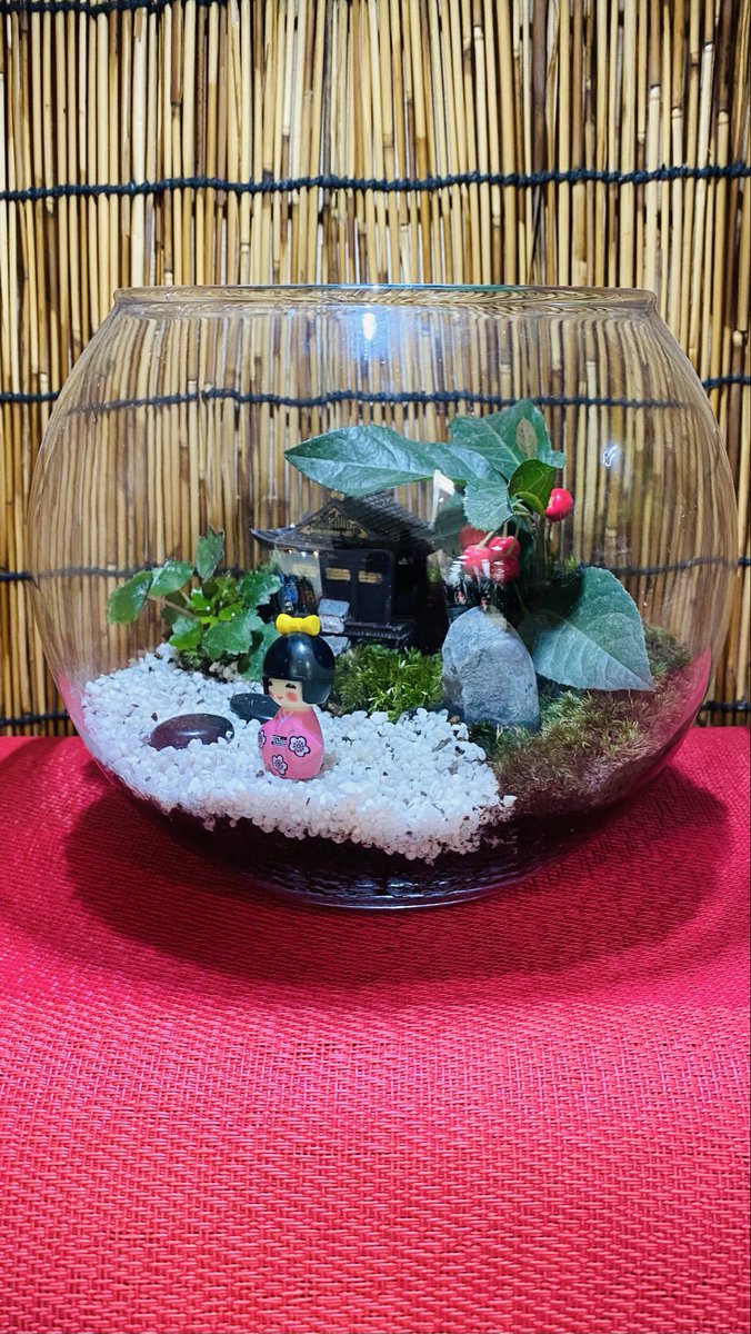 今日も素敵な1日を🌿