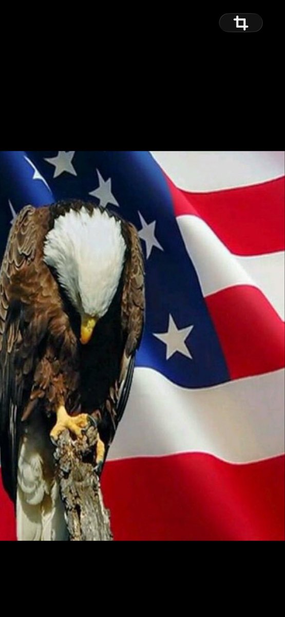 🦋happy 🦋 tweet media